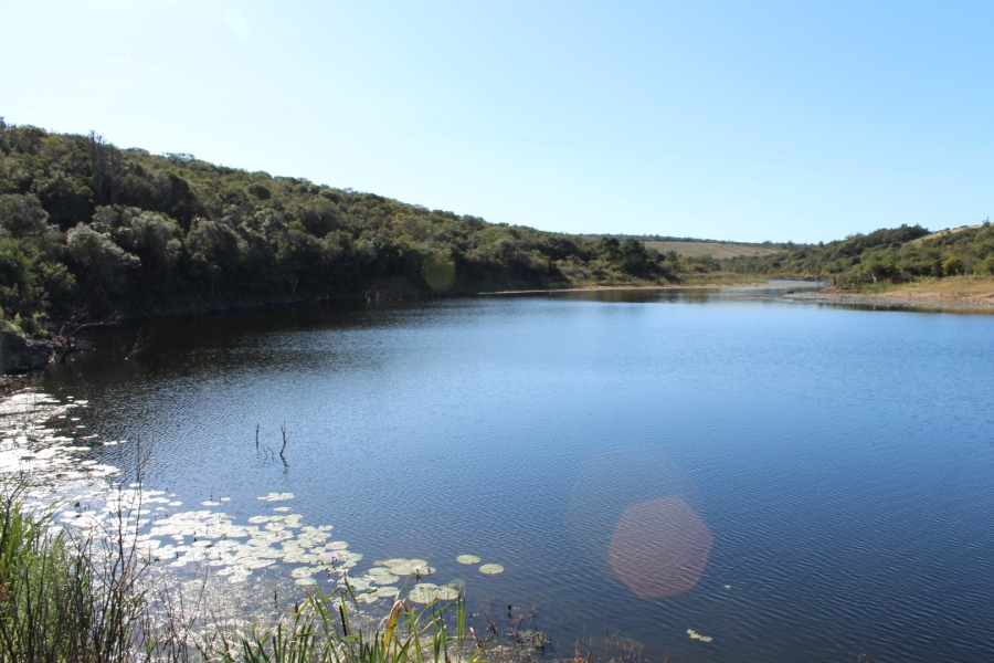3 Bedroom Property for Sale in Bathurst Eastern Cape